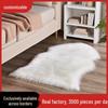 Cross-border Imitation Wool Carpet Floor Mat - Plush Living Room & Bedside Rug/Cushion