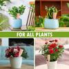 Plant Watering Stakes Clay 6pcs Plant Waterers Self-Watering Stakes Watering Devices Watering Cans Weather Resistant For Family