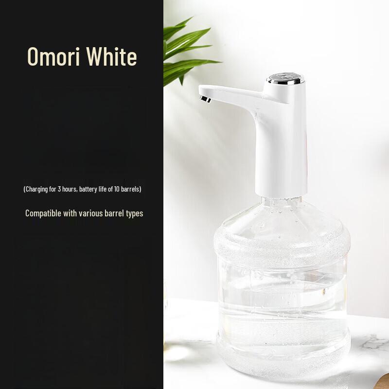 

Zhi Shi Electric Bottled Water Pump