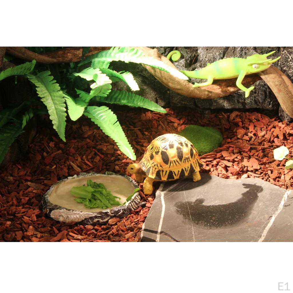 Reptile Vivarium Terrarium Feeding Bowl Tortoise Lizard Gecko Water Food Worm Feeder Basin Shaped