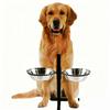 Stainless Steel Double Pet Bowl: Raised & Non-Slip Design for Food and Water