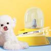 New Dog  Cat Bowl Double Bowl Cat Automatic Feeder Dog Bowl Stainless Steel  Pet Water Dispenser Pet Supplies