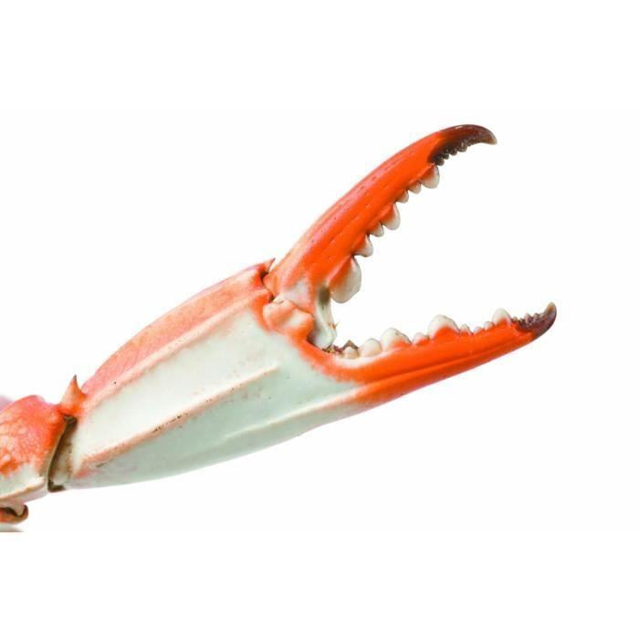 Pince fruit de mer IBILI - 18 cm - Inox