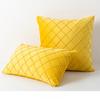 Pack of 2 Velvet Plaid Throw Pillows Sofa Decorative Pillow Covers Soft Solid Cushion Case for Bedroom Car Outdoors