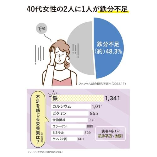 PEARL METAL Iron Supplement Plate, Fe Supplement HB-5000, Silver