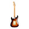 Fender E-Gitarre Player Plus Maple Sunburst Stratocaster®, Griffbrett, 3-farbig