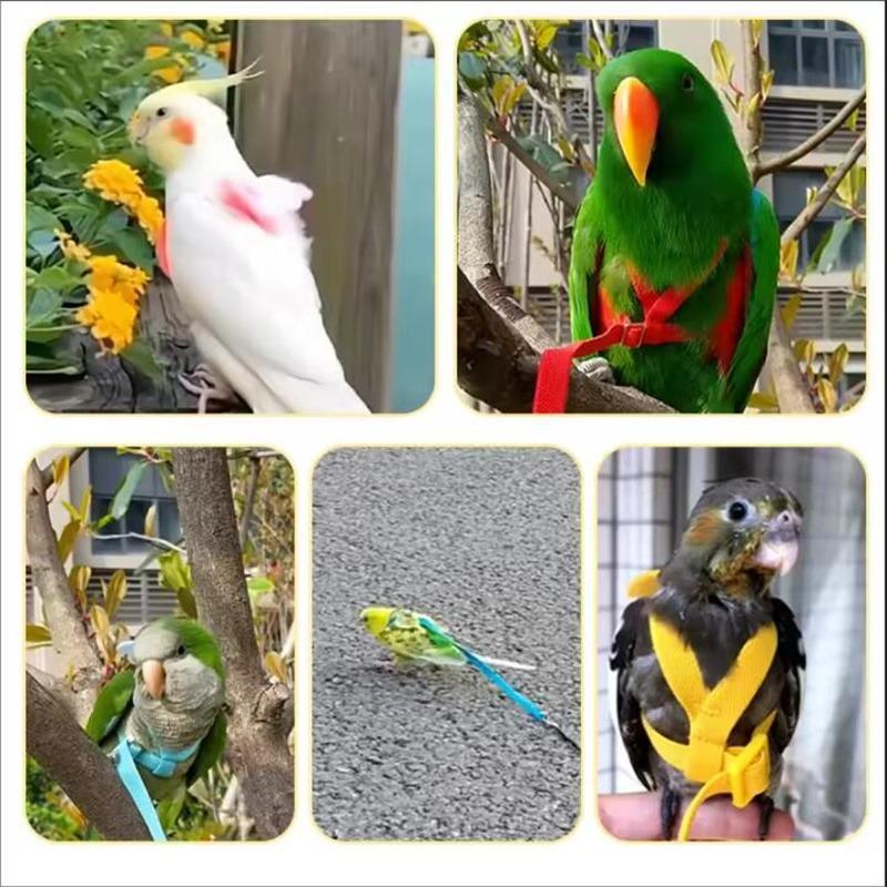 Parrot Training Harness Leash Set Anti-Bite Outdoor Flying Rope For Cockatiels Small Birds Supplies 