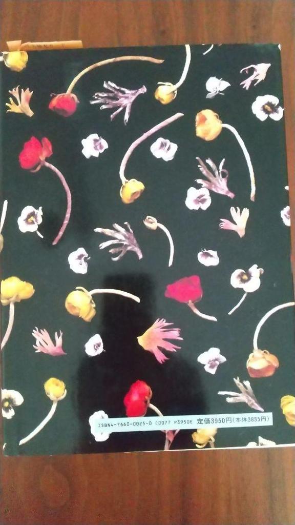 [USED] Making Fabric Flowers by Rui Yamagami