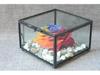 Elegant European Glass Jewelry and Cosmetics Organizer with Flip Lid