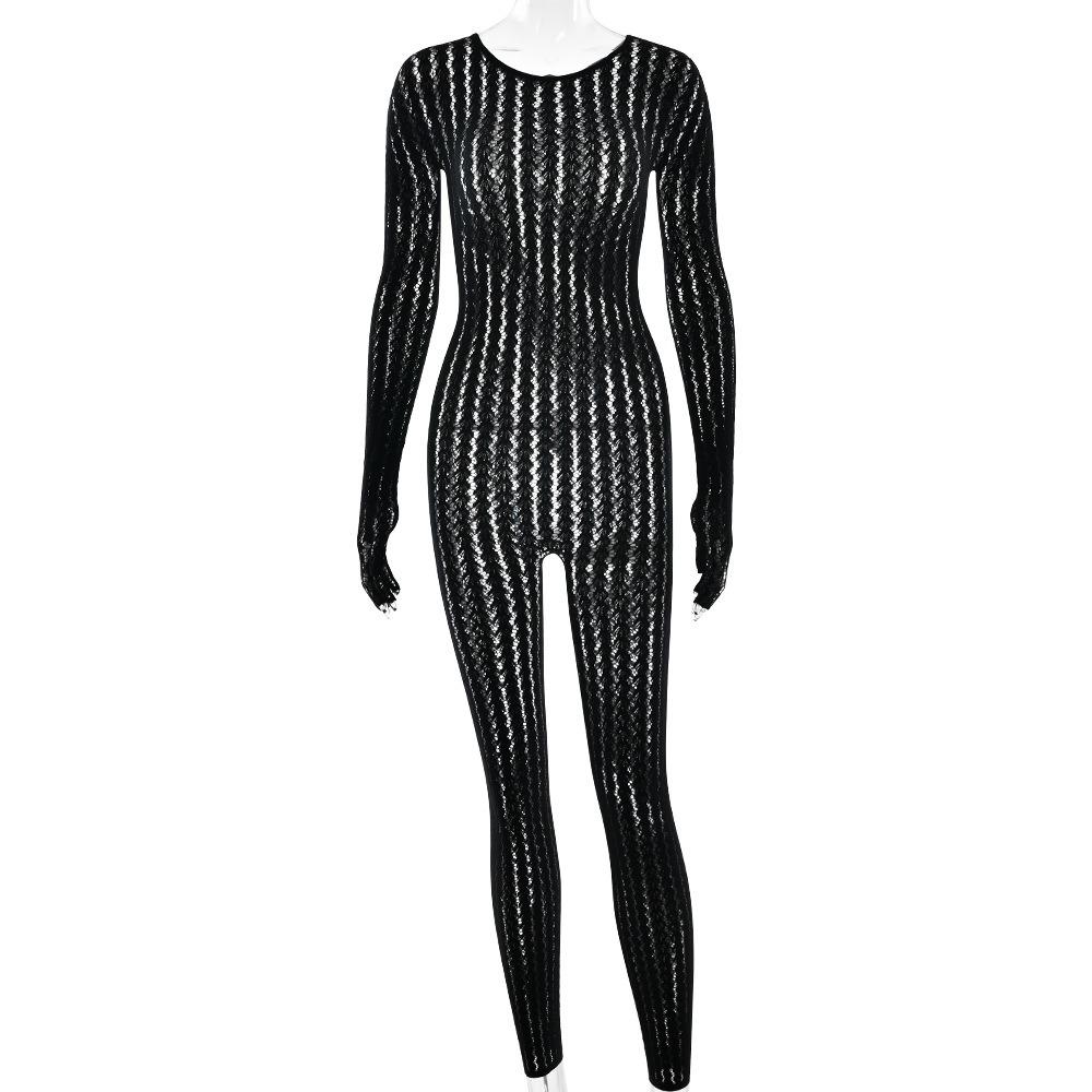 Women's Crew Neck Long Sleeve Jumpsuit Slim Fit High Waist Sexy Sheer Wavy Knit Mesh Stretchy Unitard