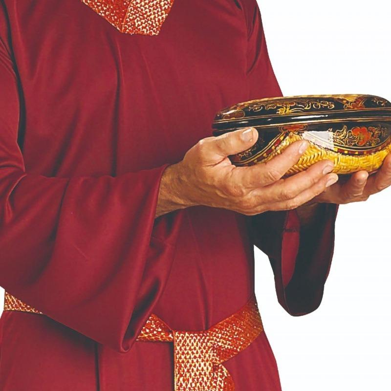 Costume Cosplay Party Costume Halloween Costume Adult Costume