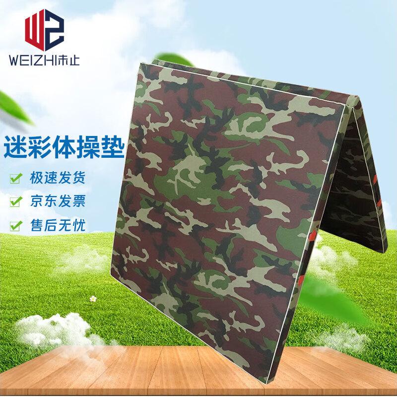 Weizhi Gymnastics & Sit-up Mat