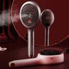 Electric Scalp Massage Hairbrush with Spray Function Rechargeable Hair Care Comb for Scalp Stimulation and Hair Nourishment