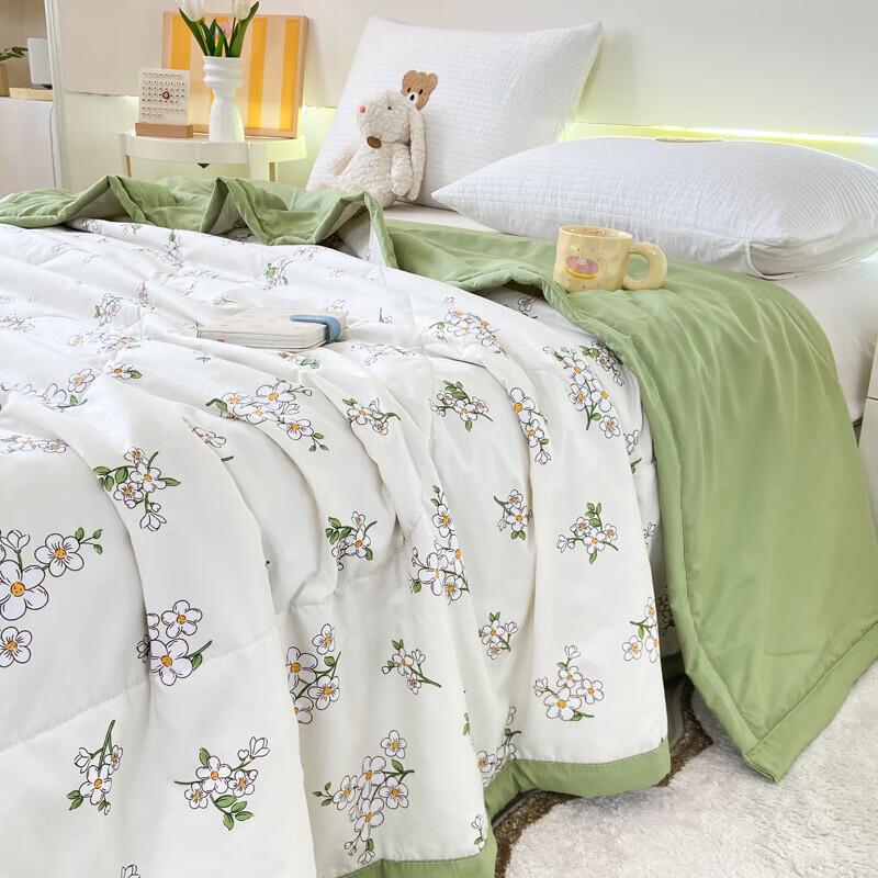 Paul David All-Season Skin-Friendly Quilt