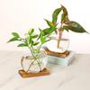 Wooden Stand Hydroponic Plants Container Transparent Glass Plants Glass Vase  Weddings