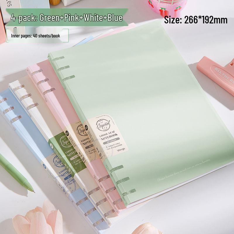 Блокнот-органайзер B5 с цветными блоками и шестью кольцами со съемными страницами 2880₽