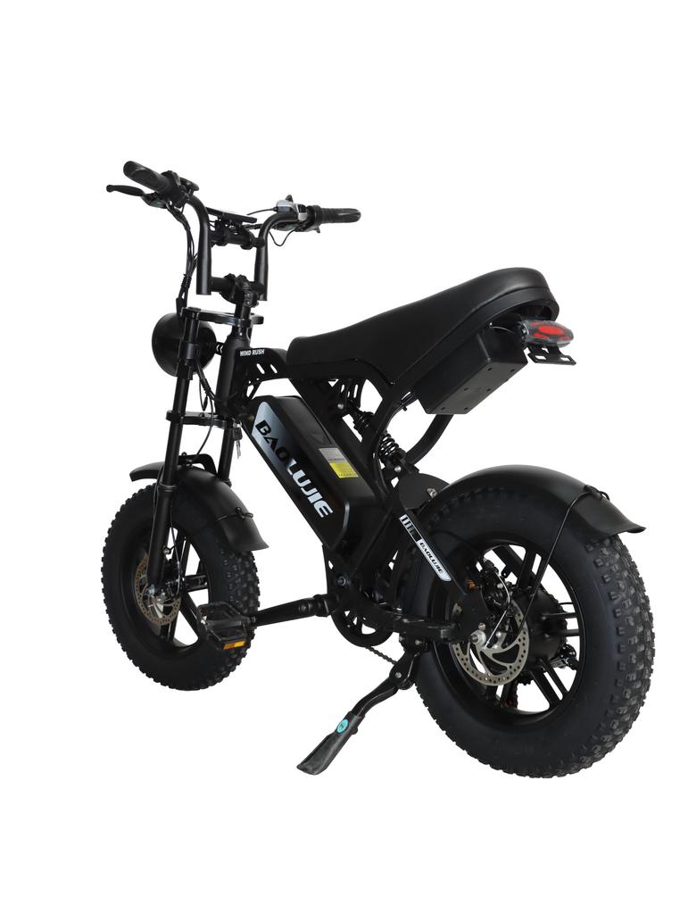 BAOLUJIE F2 ElectricBicycle Adults 500W  Brushless Motor 48V 13Ah Lithium Battery Ideal for Urban Commutes  Daily Errands