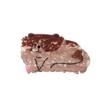 Hair Claw Cartoon Animal Shape Back Head Shower Clip Anti-slip Teeth Medium Size Shark Hair Claw Versatile Hair Accessory
