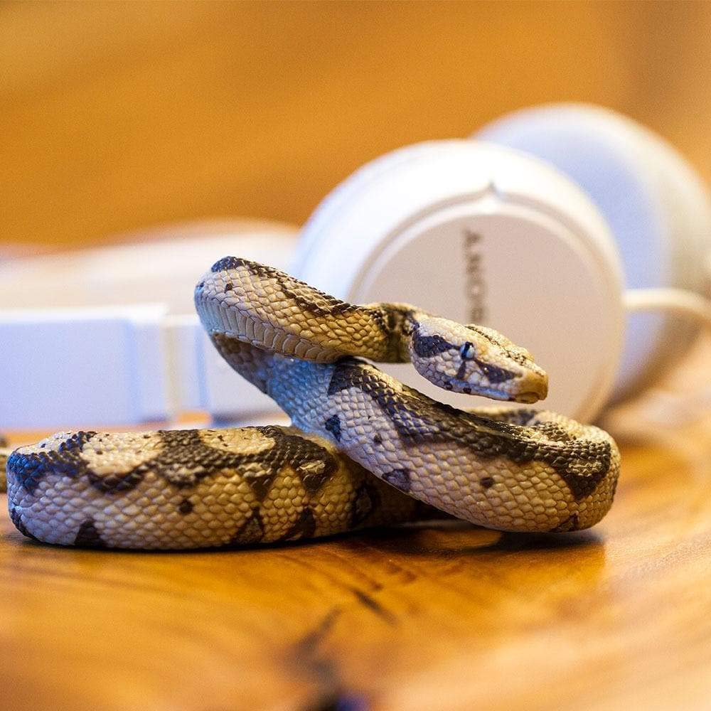 Safari Boa Constrictor Snake Figure Scale Model 266529 1/4