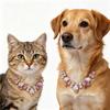 Adjustable Pet Necklace Stainless Steel Diamond Collar Luxury Cat Collar  Wedding Photography