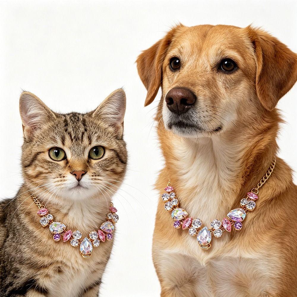 Adjustable Pet Necklace Stainless Steel Diamond Collar Luxury Cat Collar Wedding Photography