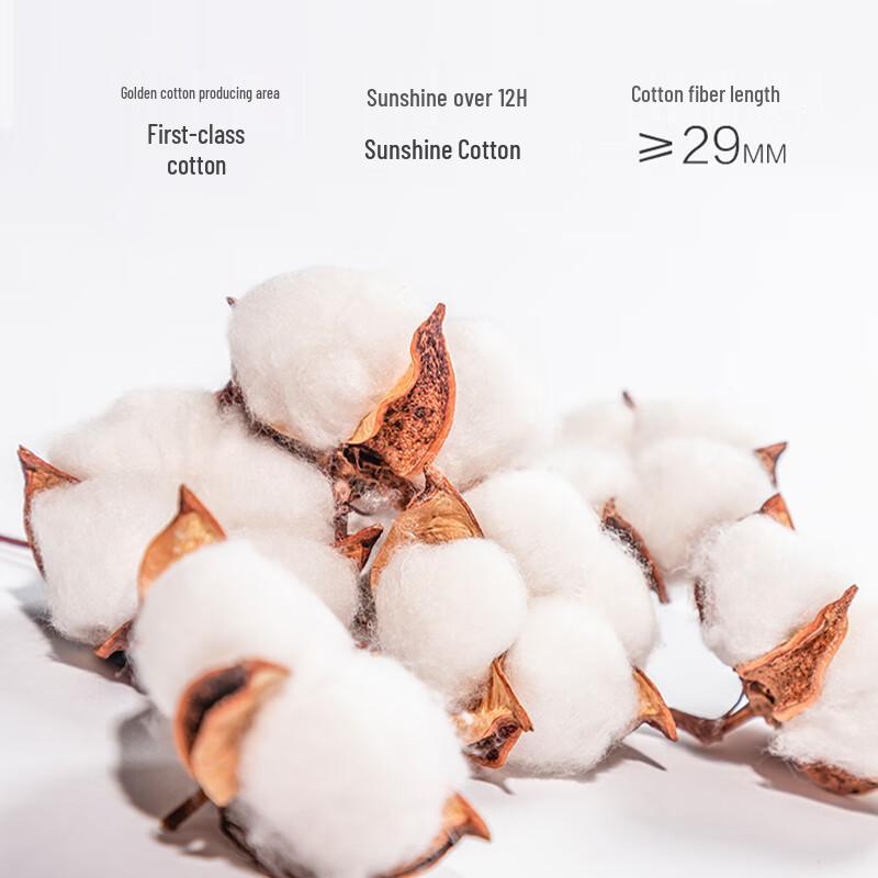 Little Nurse Women's Comfortable Cotton Briefs 3-Pack