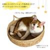 Cat Cattail with Japanese-style Bed, Grass, Wisteria, Rattan, Cushion, Natural, Handwoven, Breathable, All-Season (Blue, Small)