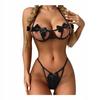 Erotic And Sensual Lingerie With Bra And Lace Panties