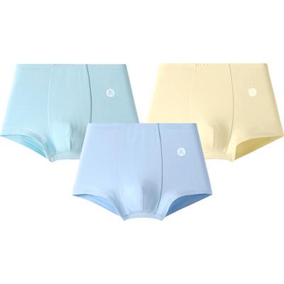 Boys' Anti-Bacterial Boxer Briefs