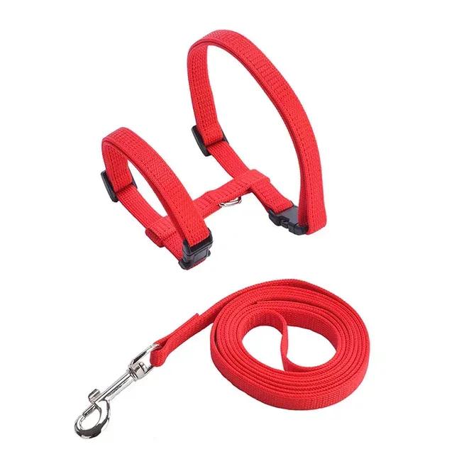 New Perfect, Durable, and Easy-to-Use Pet Wardrobe - Ideal for Tiny Dogs & Cats In Various Sizes & Colors - All-Day Wear for Adv
