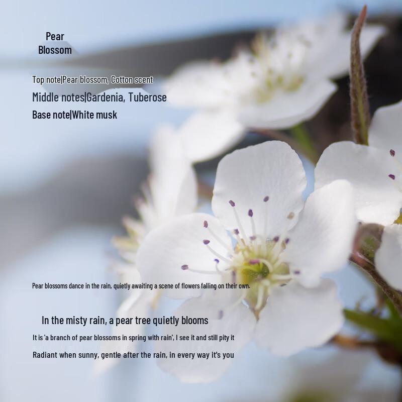 Tesori d'Oriente Water Lily Scented Wash & Care Set