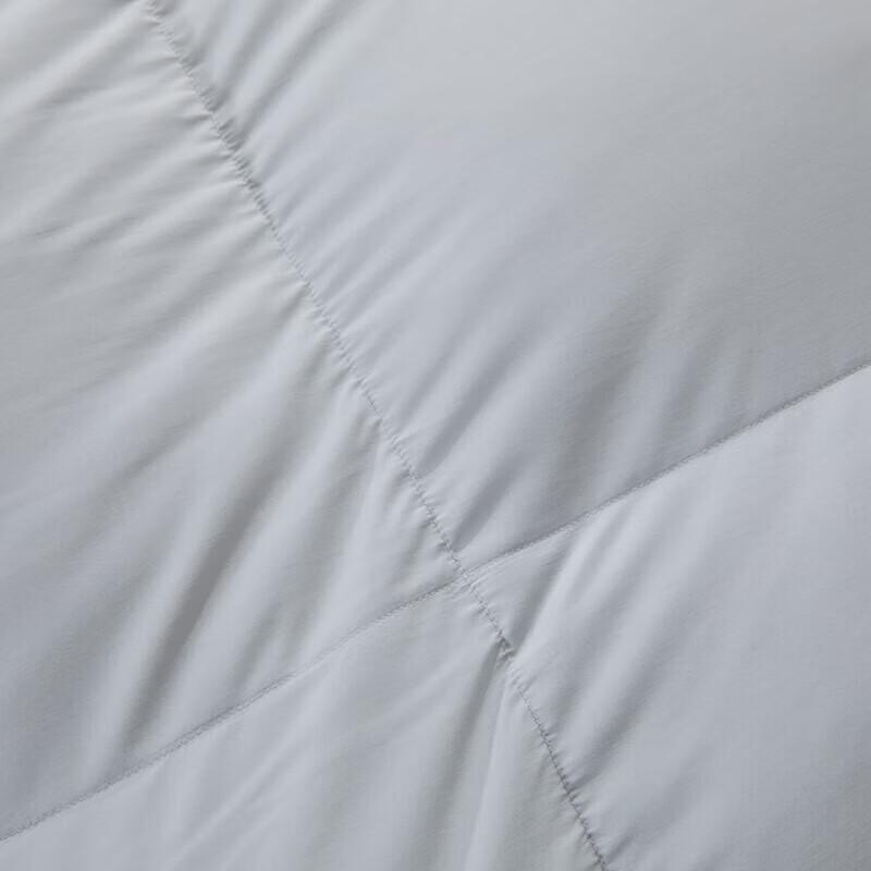 Muji Premium Winter Quilt