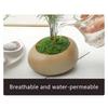 50/200g Artificial Moss For Decorating, Artificial Moss Decoration Moss For Crafts, Art Moss, Fake Decorative Moss For Aquarium