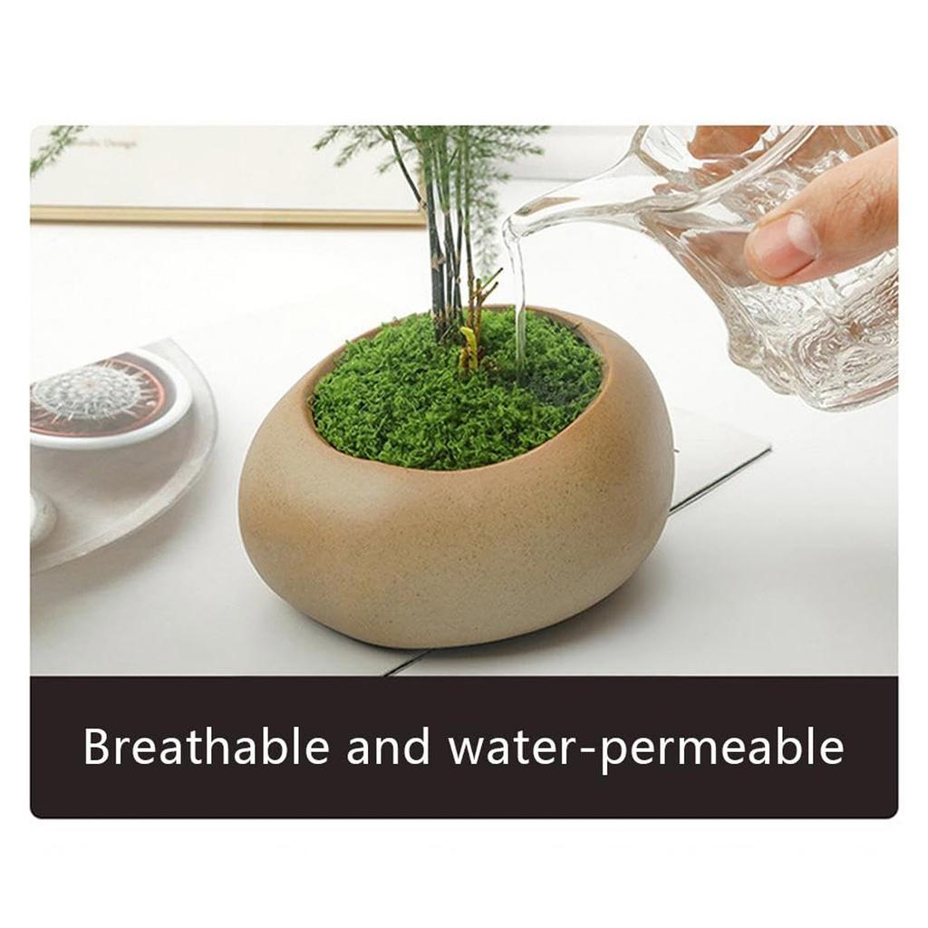 50/200g Artificial Moss For Decorating, Artificial Moss Decoration Moss For Crafts, Art Moss, Fake Decorative Moss For Aquarium