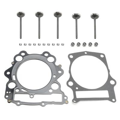 Zylinderkopf Ventile Dichtungen Satz Für Yamaha Grizzly Raptor Rhino 660 660R 01-08