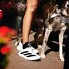 Adidas Adizero Evo SL Women's Lightweight Cushioned Marathon Running Shoes