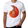 Nautilus Shell Sea Shells TShirt Minimal Art Print TShirt
