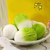 New Release Vegetable Cabbage Squeeze Toy For Kids Soft And Realistic Stress Relief Toy