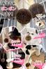 Cat Cage Scratcher with Toy, Cage Attachable, Full Set