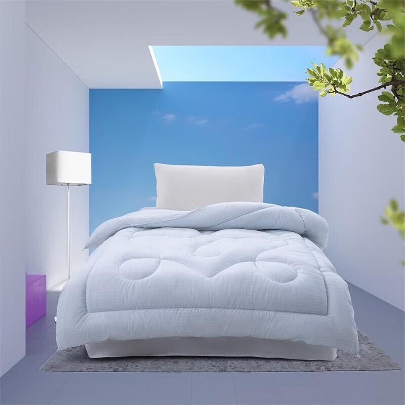 

Mercury Home Textiles DH Youth All-Season Quilt