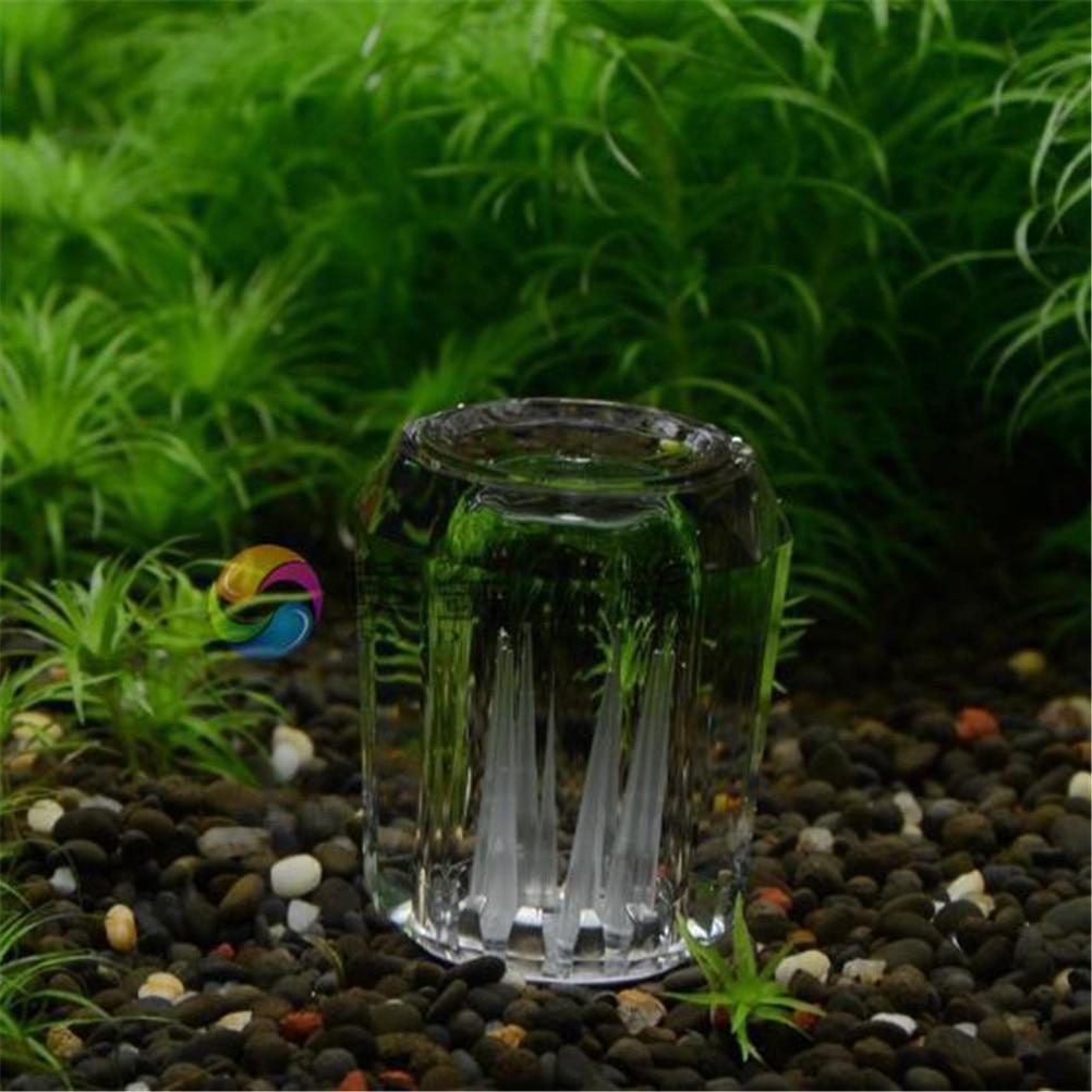 Snail Trap Transparent Leech Vivarium Planarian Pest Catch Pen Red Bee Shrimp Worm Bait Feeding Box Aquarium Cleaner Tool