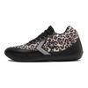 All Star BB EVO
