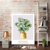 Abstract Sun Monstera Leaves Plant Cat Boho Art Canvas Painting Botanical Posters And Prints Wall Pictures For Living Room Decor