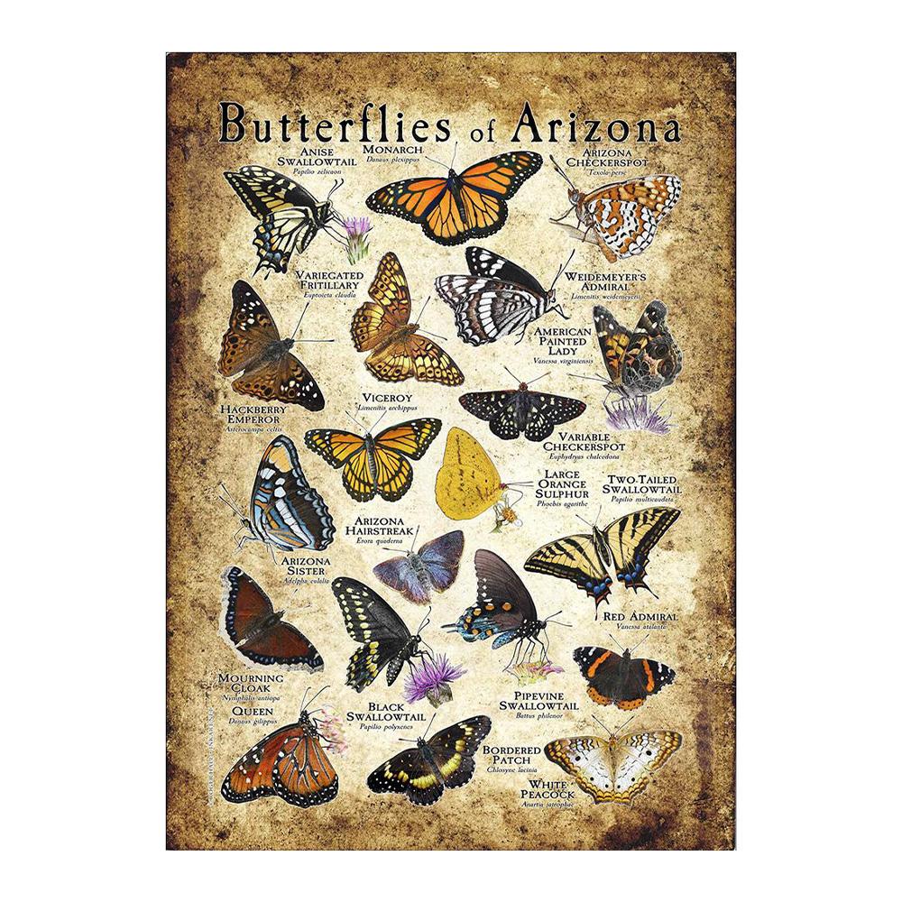 Abstrakt HD-tryck Fjäril Groda Fåglar Haj Marina Djur Collage Poster Canvas Målning Vintage Väggkonst För Barn Sovrum Heminredning