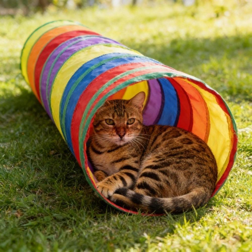 S Shape Foldable Cat Tunnel Large Diameter Interactive Play Tube Easy Clean Indoor Exercise Toy for Kittens Pets