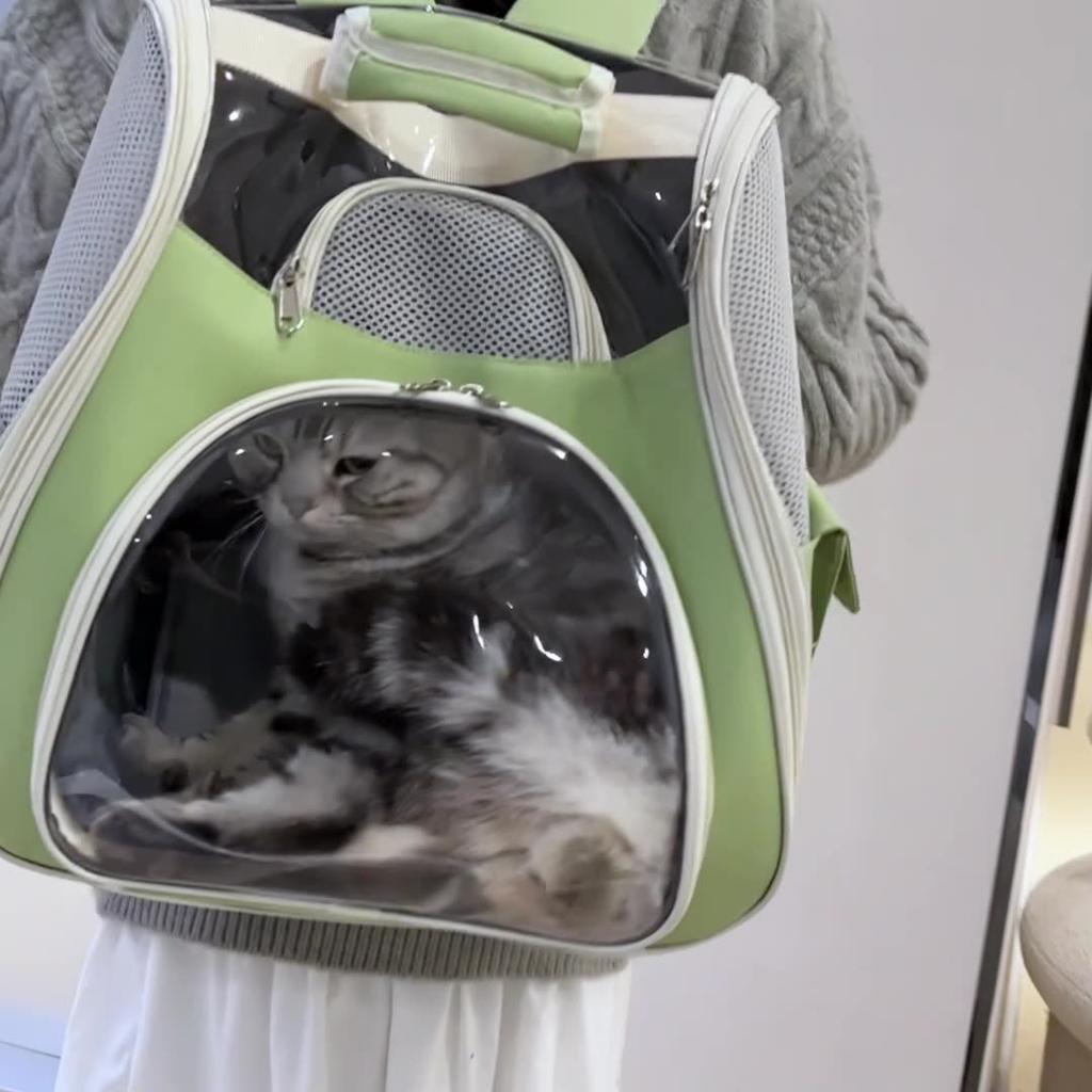 Cat Backpack Going Out School Bag Double Shoulder Pet Bag Cat Travel Dog Cat Products Transparent Large Capacity Portable Cat Bag