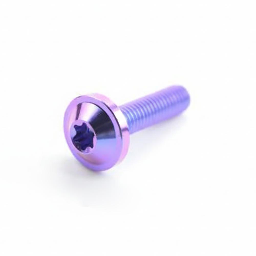 M6x15 Titanium Bolts M6x10 T30 Torx Bolts High Quality Titanium Screws