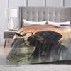 German Wirehaired Pointers Gundogs  Blankets Soft Warm Flannel Throw Blanket Bedspread for Bed Living room Picnic Travel Home