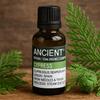 Cypress Essential Oil Organic 50ml