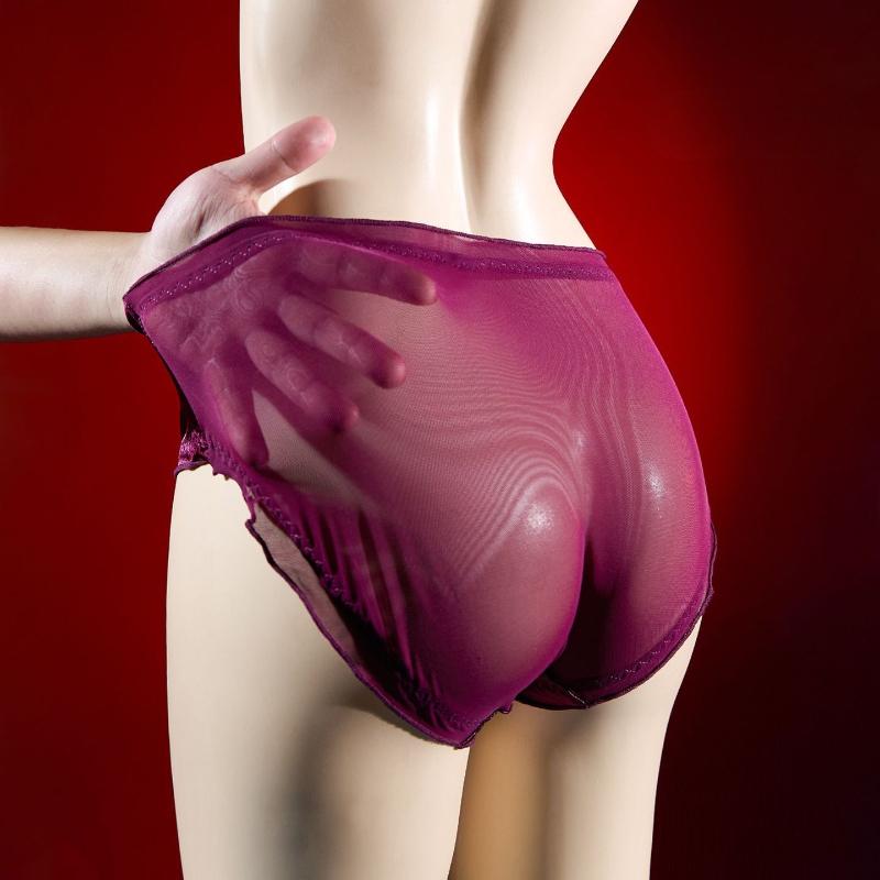 Men'S Sexy Underwear Sissy Lingerie Panties Mesh Satin Breathable Sheath Bullet Separation Pouch Briefs Transparent Underpants